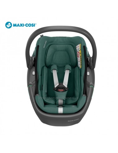 Maxi Cosi Coral 360