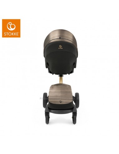 Stokke Duo Xplory X Gold Edition