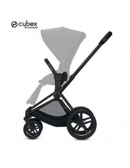 Cybex Duo Priam Spring Blossom