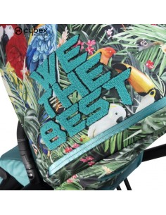 Cybex Seat Pack Priam Dj Khaled 2021 2