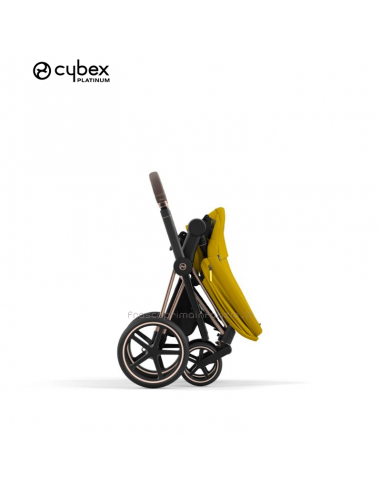 Cybex Duo Priam "New Generation"